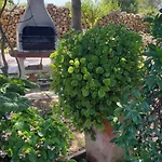 6-9 Personas * Son Carrio (Menorca)