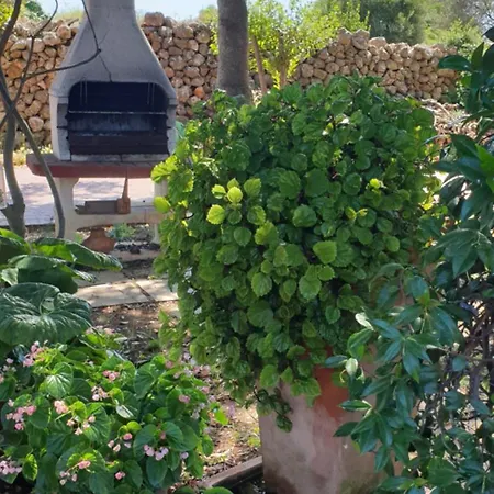 6-9 Personas * Son Carrio (Menorca)