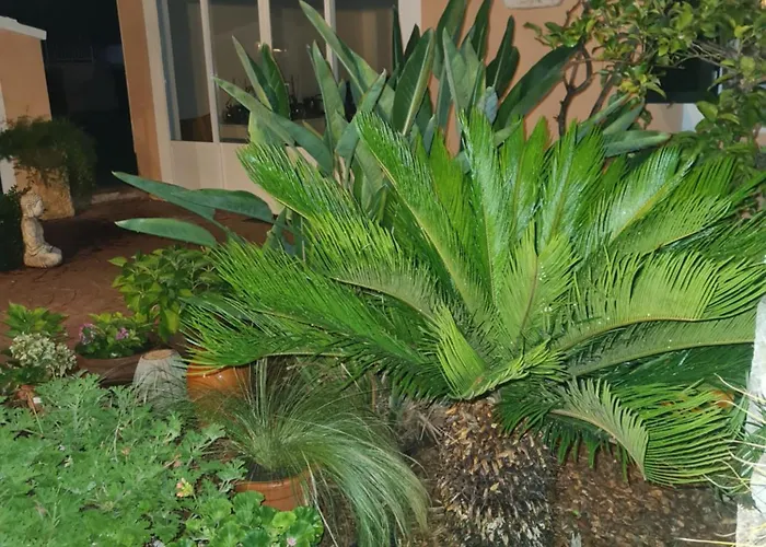 6-9 Personas * Son Carrio (Menorca)